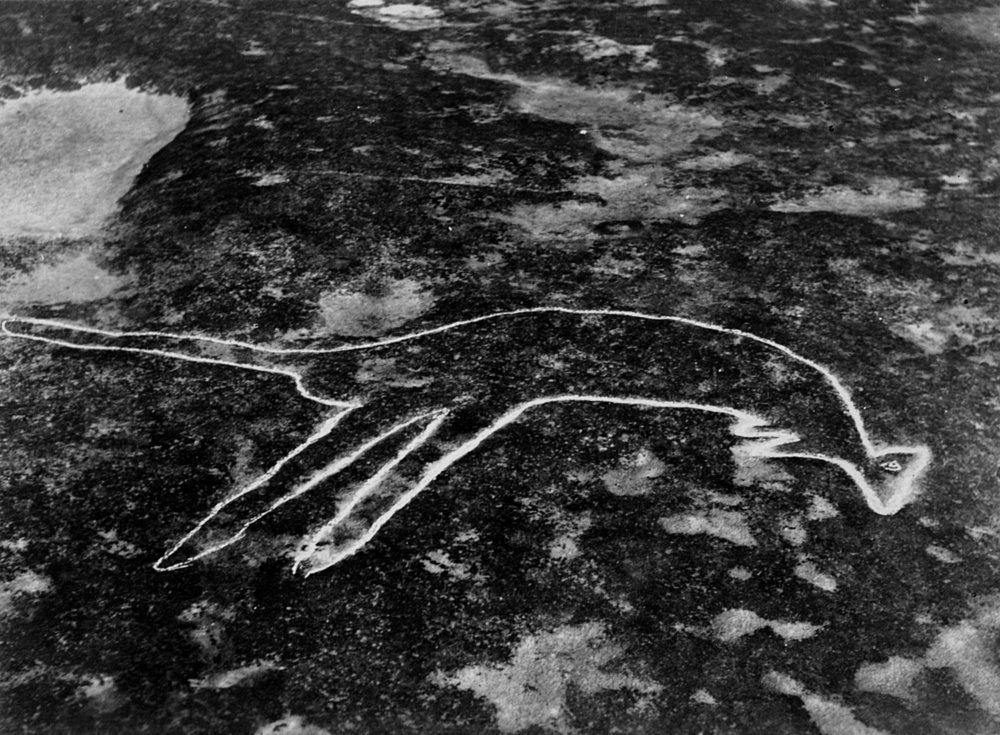 Aboriginal rock carvings near Waterfall, 1961