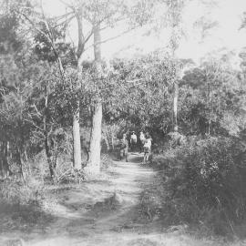 Bush track at Oyster Bay with group of people in the background, ca. 1918