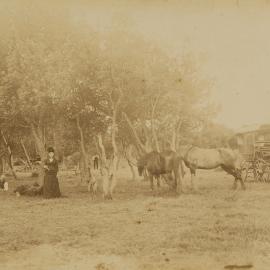 Group of people with horses and cart at the head of Gunnamatta Bay