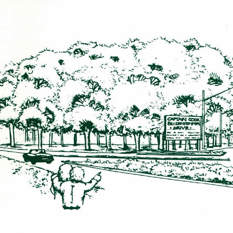 Captain Cook Drive