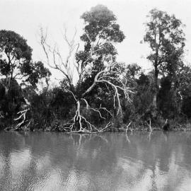 Lake Engadine views, ca. 1930