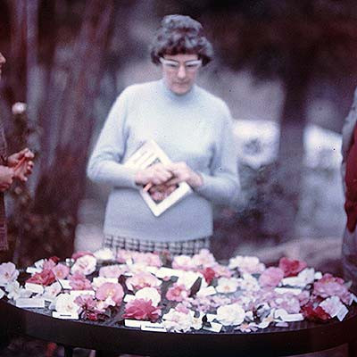 E. G. Waterhouse National Camellia Garden
