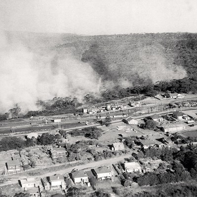 Bush Fires