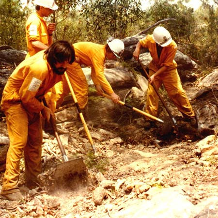 Bush Fire Policy and Procedures Advisory Commmittee