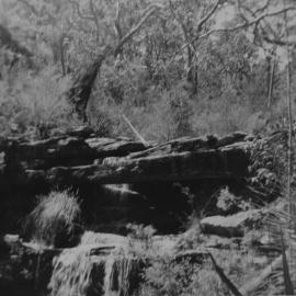 Watt Creek, which runs into Heathcote Creek, 1960