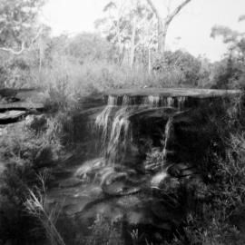 Cascades in Heathcote Creek, May 1962