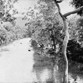 River in the Royal National Park