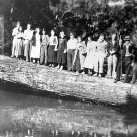 Group of fourteen people standing on a fallen log over a river, Sutherland Shire