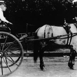 Horse and cart belonging to Stapleton's Butcher Shop, Sutherland, ca. 1900s