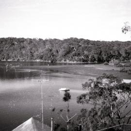 View towards Gundamaian, Royal National Park, June 1976