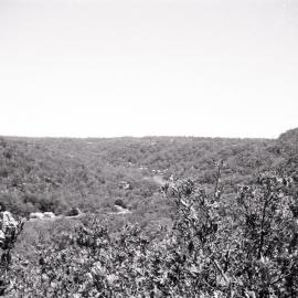 Bushland overlooking an unidentified river
