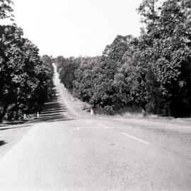 Rawson Avenue, Sutherland, looking south