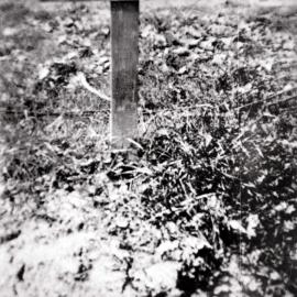 Grave of George Bentley in France, 1917
