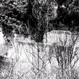 Foundations and incompleted walls of Horace Dawson's home in Menai, ca. 1920s 