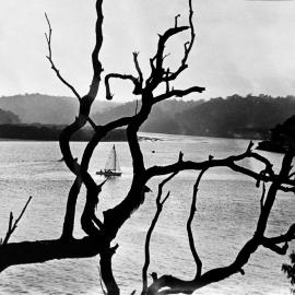 Junction of the Georges and Woronora rivers, 1961 