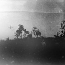 Sandhills, ca. 1920-1940 
