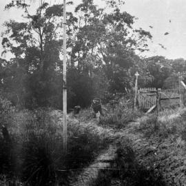 Sutherland Brickworks on Illawarra Road, ca. 1912-1930