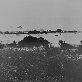 Sandhills at Kurnell, ca. 1920s