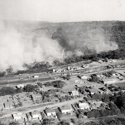 Bush Fires